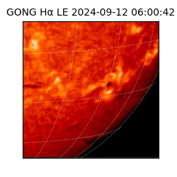 gong - 2024-09-12T06:00:42