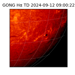 gong - 2024-09-12T09:00:22