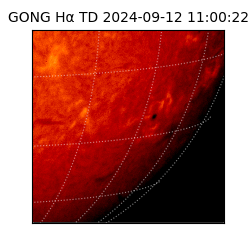 gong - 2024-09-12T11:00:22