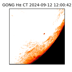 gong - 2024-09-12T12:00:42