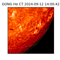 gong - 2024-09-12T14:00:42