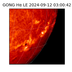gong - 2024-09-12T03:00:42