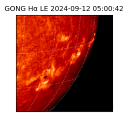 gong - 2024-09-12T05:00:42