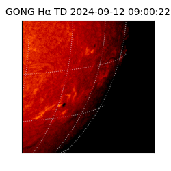 gong - 2024-09-12T09:00:22