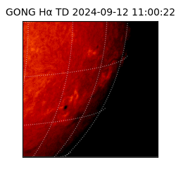 gong - 2024-09-12T11:00:22