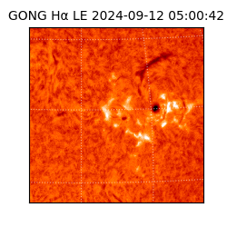 gong - 2024-09-12T05:00:42