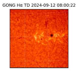 gong - 2024-09-12T08:00:22