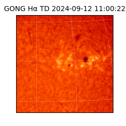gong - 2024-09-12T11:00:22
