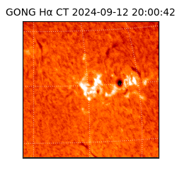 gong - 2024-09-12T20:00:42