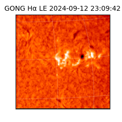 gong - 2024-09-12T23:09:42