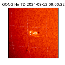 gong - 2024-09-12T09:00:22