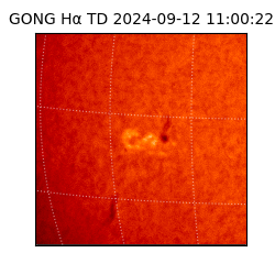 gong - 2024-09-12T11:00:22