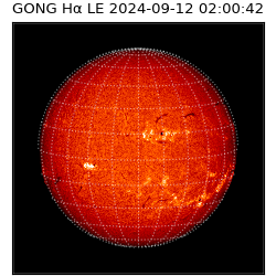 gong - 2024-09-12T02:00:42