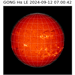 gong - 2024-09-12T07:00:42