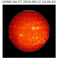 gong - 2024-09-12T14:00:42