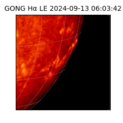 gong - 2024-09-13T06:03:42