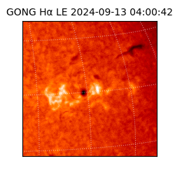 gong - 2024-09-13T04:00:42