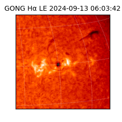 gong - 2024-09-13T06:03:42