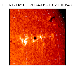 gong - 2024-09-13T21:00:42