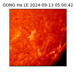 gong - 2024-09-13T05:00:42
