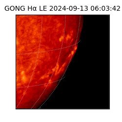 gong - 2024-09-13T06:03:42