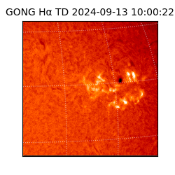 gong - 2024-09-13T10:00:22