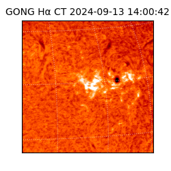 gong - 2024-09-13T14:00:42
