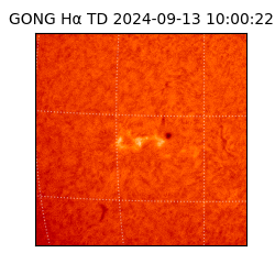 gong - 2024-09-13T10:00:22