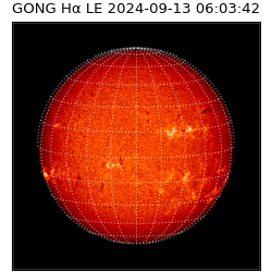 gong - 2024-09-13T06:03:42
