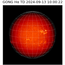gong - 2024-09-13T10:00:22