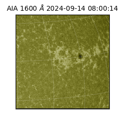 saia - 2024-09-14T08:00:14.126000
