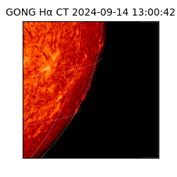 gong - 2024-09-14T13:00:42