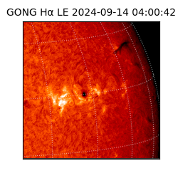 gong - 2024-09-14T04:00:42
