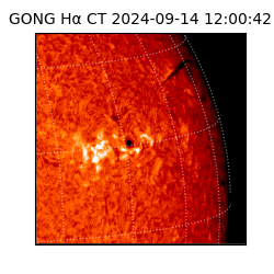 gong - 2024-09-14T12:00:42