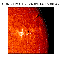 gong - 2024-09-14T15:00:42