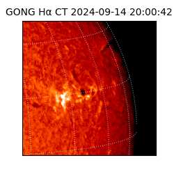 gong - 2024-09-14T20:00:42