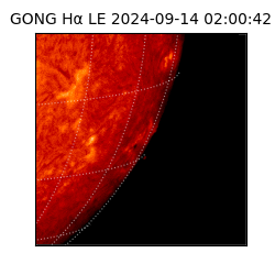 gong - 2024-09-14T02:00:42