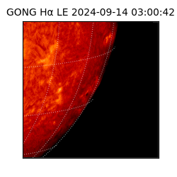 gong - 2024-09-14T03:00:42