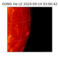 gong - 2024-09-14T03:00:42