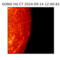gong - 2024-09-14T12:00:42