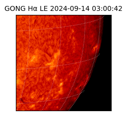 gong - 2024-09-14T03:00:42