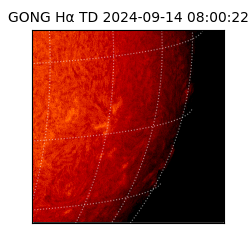 gong - 2024-09-14T08:00:22