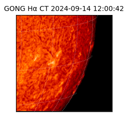 gong - 2024-09-14T12:00:42