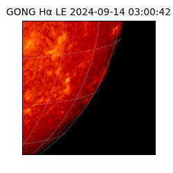 gong - 2024-09-14T03:00:42