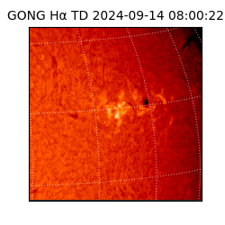 gong - 2024-09-14T08:00:22