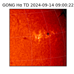 gong - 2024-09-14T09:00:22