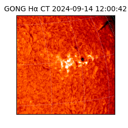gong - 2024-09-14T12:00:42