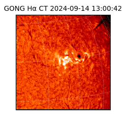 gong - 2024-09-14T13:00:42