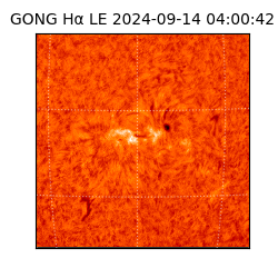 gong - 2024-09-14T04:00:42