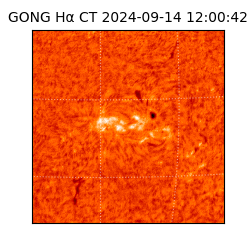 gong - 2024-09-14T12:00:42